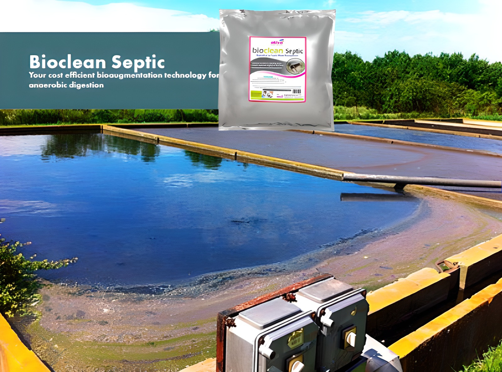 Tratamente pentru fose septice